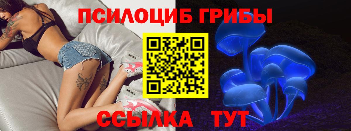 Гуково  Галлюциногенные грибы Psilocybe  Вход с VPN 