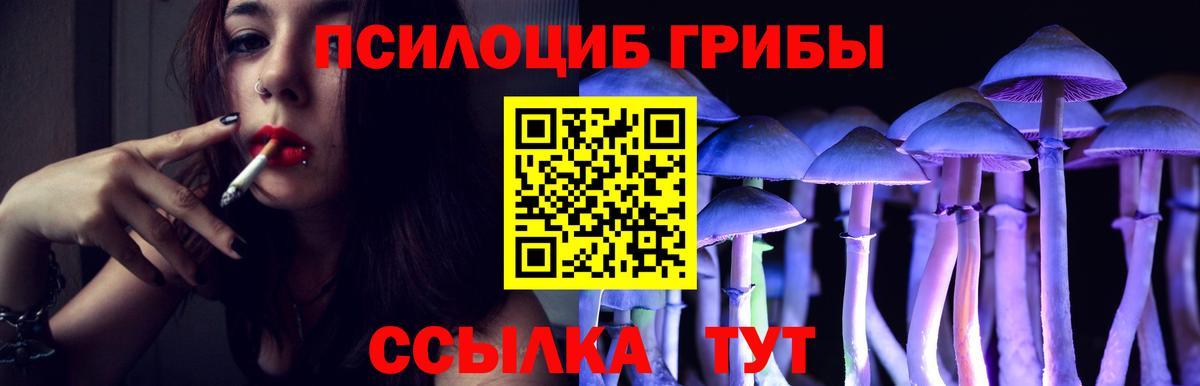 Псилоцибиновые грибы ЛСД Гуково